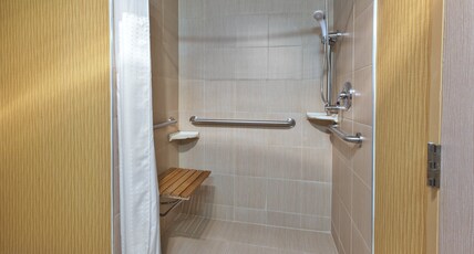 Holiday Inn Hotel & Suites BOLINGBROOK Room Type - 1 King Suite Jetted Tub