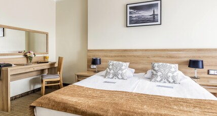 Mercure Wiazowna Brant Room Type - Standard Room with 1 double bed