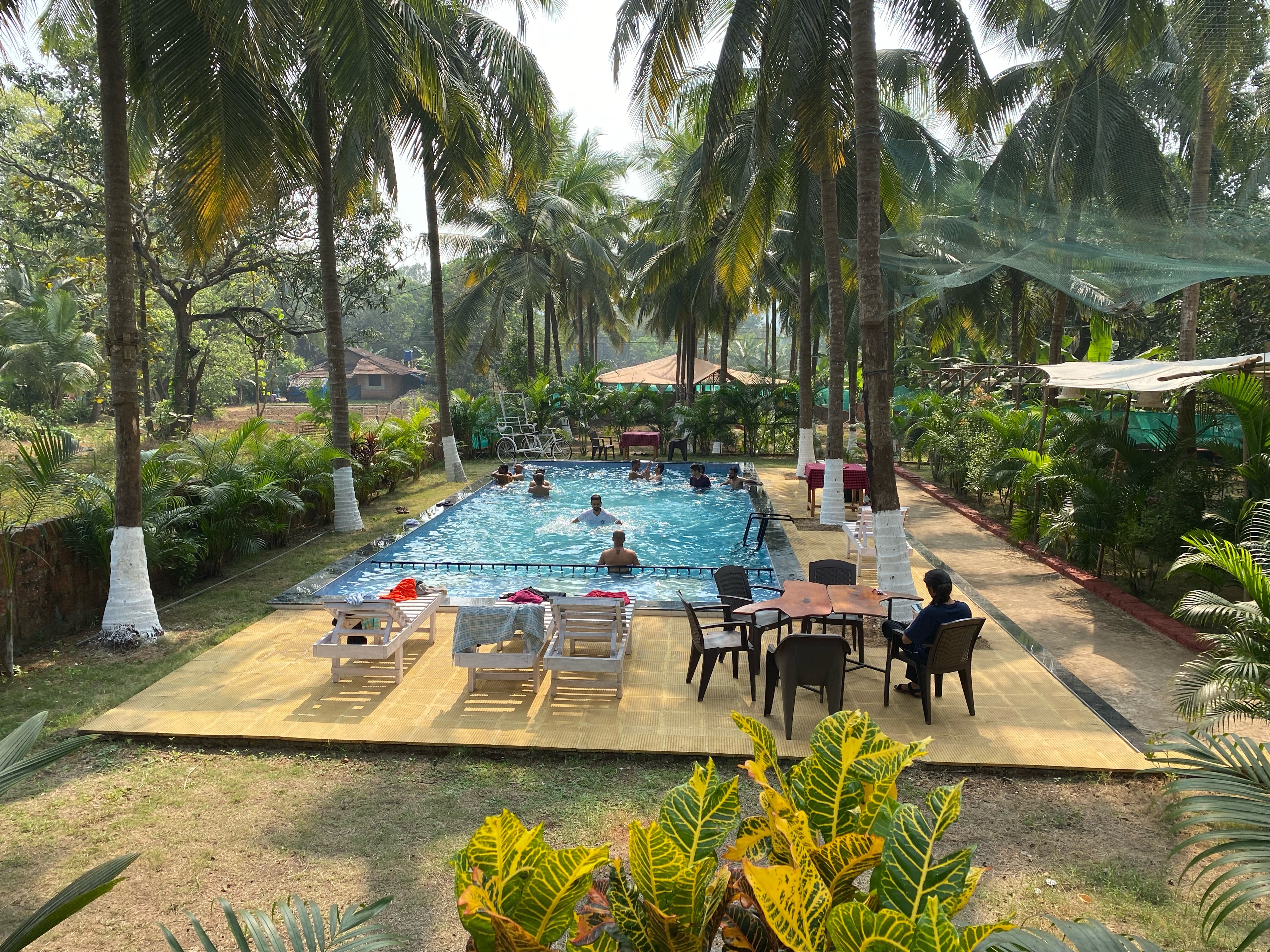 Swimming pool with loungers