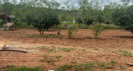 THE PARADISE 1 Room Type - THE PARADISE 1