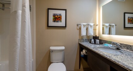 Holiday Inn MURFREESBORO Room Type - 2 Queen Standard