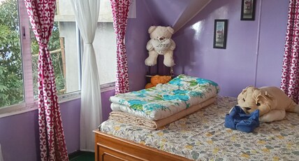 Lebong Mansara Homestay Room Type - Double room 4