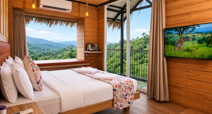 Crescent County Resort Room Type - Tree house