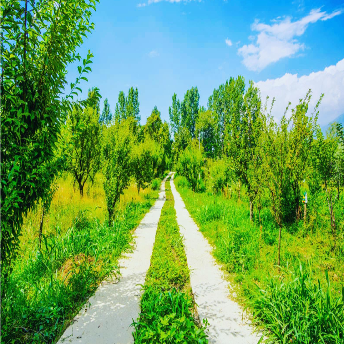 Hotel Wigwam - Tap to explore photos