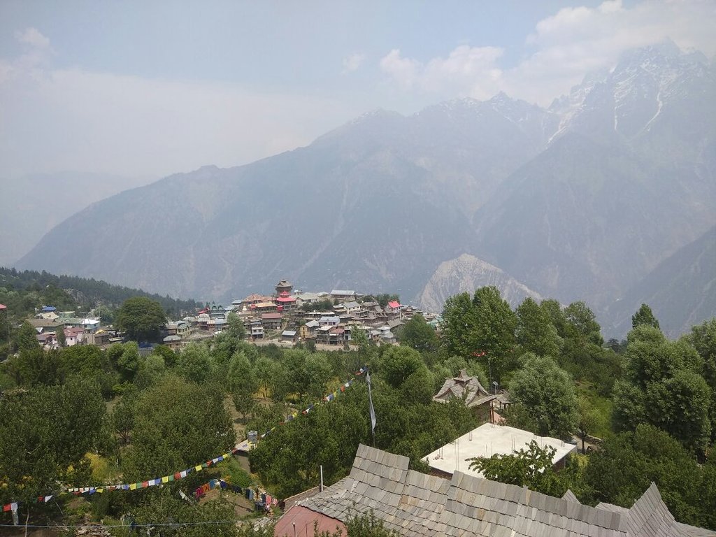 Hotel Ashoka - Tap to explore photos