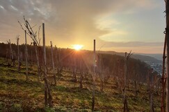 Holiday Inn Express Trier