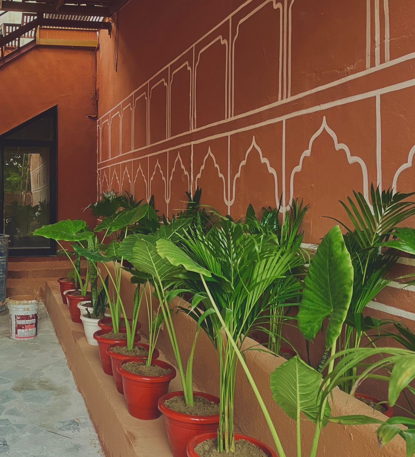 Hammock Hostel - Jaipur - Tap to explore photos