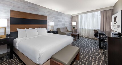 DOUBLETREE BY HILTON DENVER SE Room Type - 1 KING RM W  MOUNTAIN VIEW