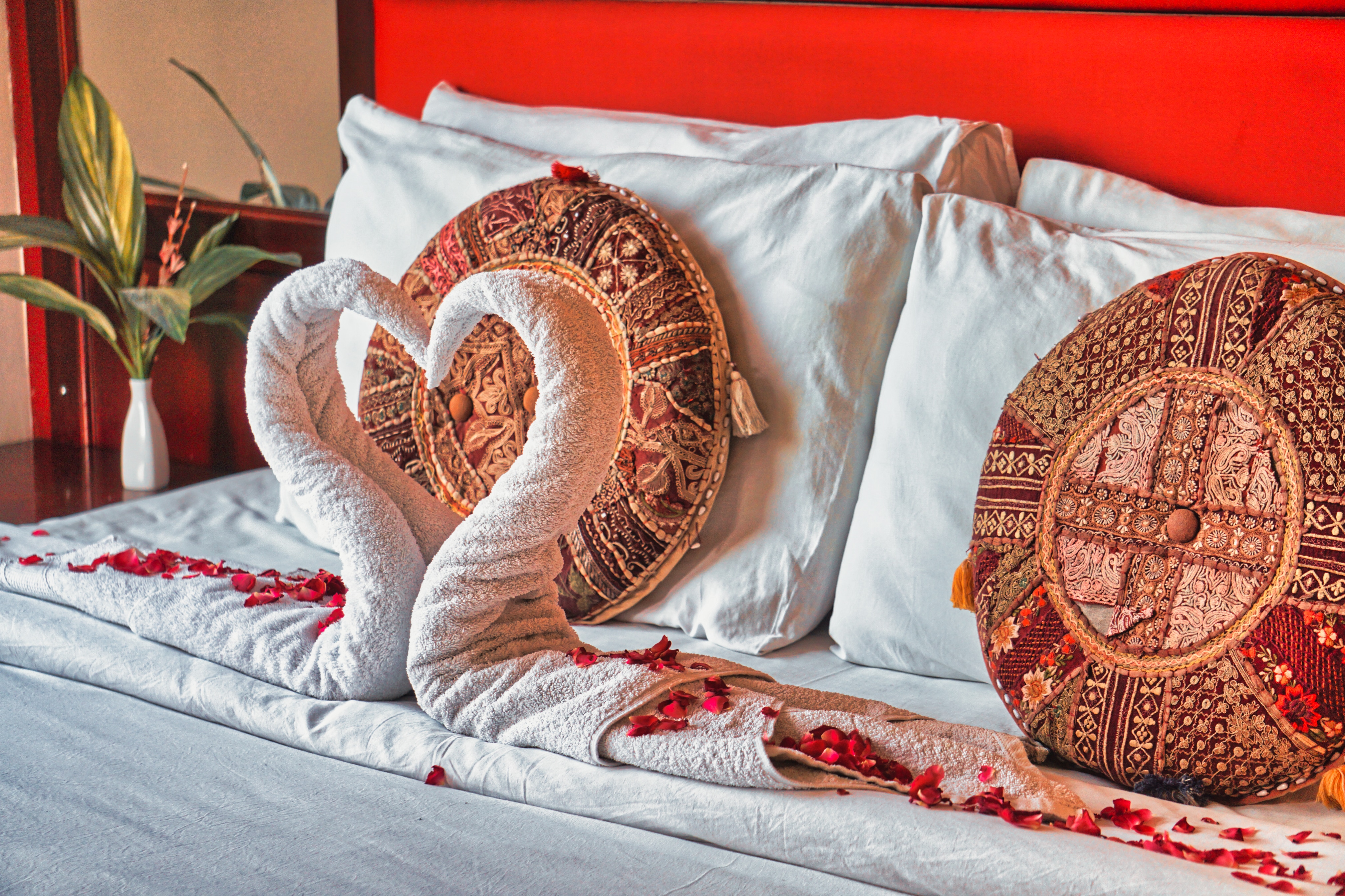 Crestmont Ashapurna Jaipur - Tap to explore photos