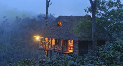 Aranyakam Heritage Homestay & Treehouse  Room Type - Minivet - Treehouse
