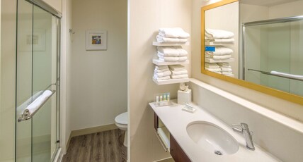 Hampton Inn by Hilton Houston Downtown Room Type - 1 KNG HEARING ACC NOSMOK