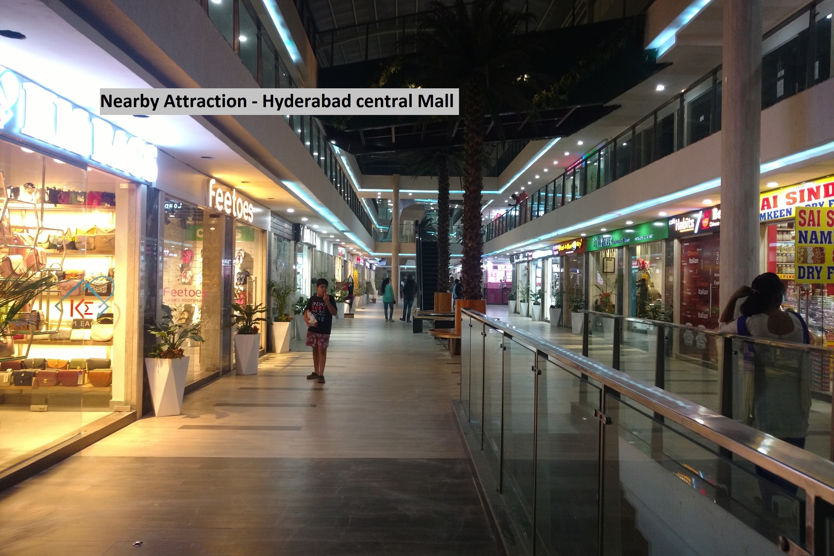 Main gallery