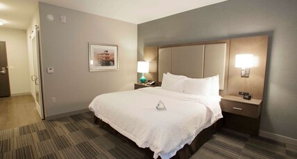 Hampton Inn & Suites by Hilton Downtown St. Paul Room Type - 1 KNG HEARING ACC NOSMOK