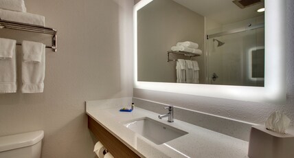 Holiday Inn Express Georgetown Room Type - 1 King Standard Walk in Shower