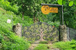 The Tree Organic Farm Stay