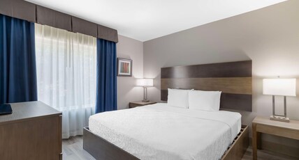 Best Western Plus Downtown North Room Type - Accessible - 1 King, Mobility Accessible, Communication Assistance, Roll In Shower, Non-Smoking, Ful Best Western Plus Downtown North Room Type - Accessible - 1 King, Mobility Accessible, Communication Assistance, Roll In Shower, Non-Smoking, Ful