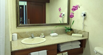 Holiday Inn PANAMA CANAL Room Type - STANDARD