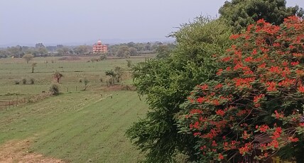 Hotel jain shree family restaurant Room Type - Room with garden view