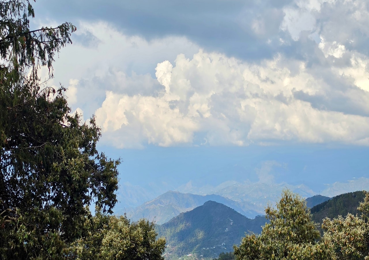 JEEVA - Tap to explore photos