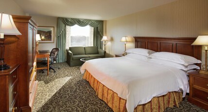 DoubleTree by Hilton Lisle Naperville Room Type - 1 KING BED W SOFA SLEEPER