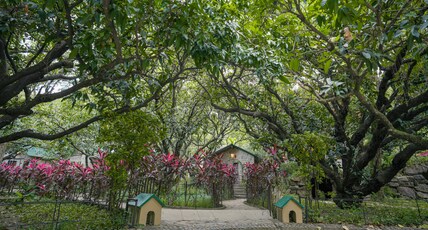 Corbett The Den Riverview Resort & Pet Friendly Room Type - Superior Cottage (With Balcony)