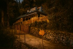 Amber by The Tamarillo