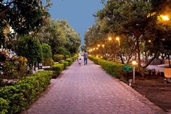 Gir Jungle Lodge