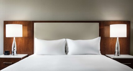 Hilton Boston Logan Airport Room Type - 1 KING BOSTON CITY VIEW