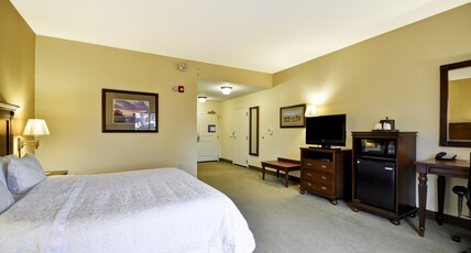 Hampton Inn & Suites North Charleston-University Blvd Room Type - 1 KNG HEARING ACC NOSMOK