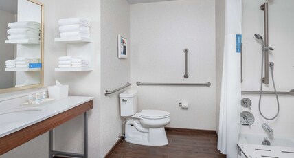 Hampton Inn by Hilton Chicago McCormick Place Room Type - 2QN W FRIDGE ACC TUB NS
