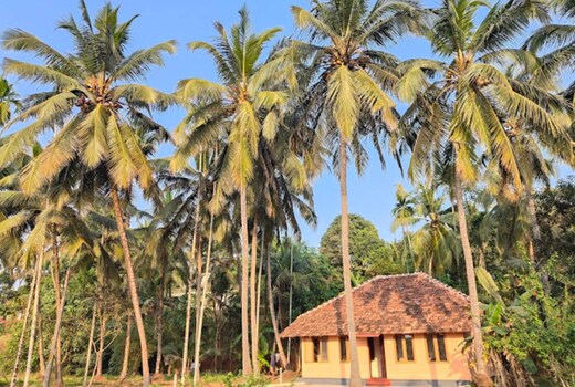 River View Homestay