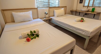 Mad Monkey Panglao Room Type - Standard Twin Room