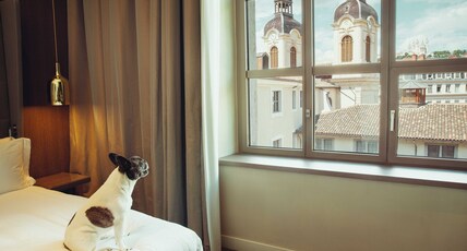Intercontinental Lyon Hotel Dieu Room Type - 1 King Premium Courtyard View