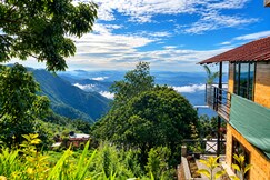Address of Mango Tree Inn