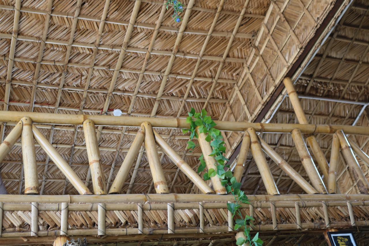 Baba's Hostel with Rooftop Cafe - Tap to explore photos