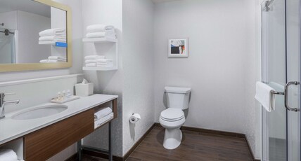 Hampton Inn by Hilton Chicago McCormick Place Room Type - KING ROOM W FRIDGE NS