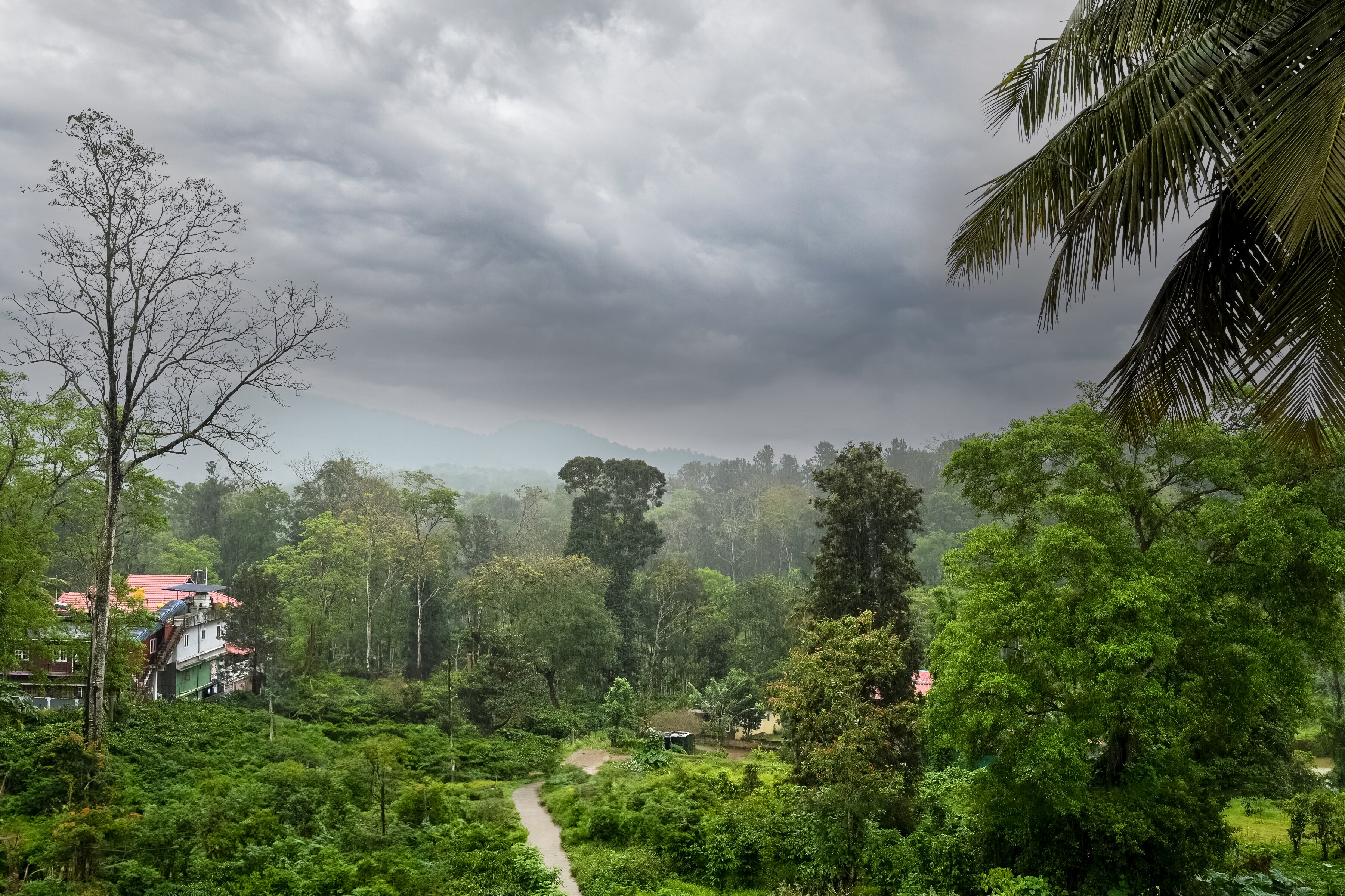 Green Pearl Lodging - Tap to explore photos