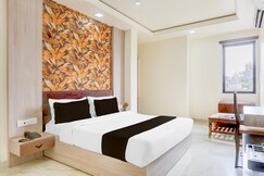 Super Collection O The Vidya Grand