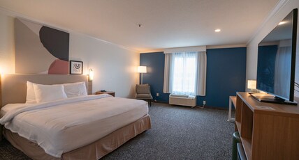 Spark by Hilton Brandon Room Type - 1 KING BED