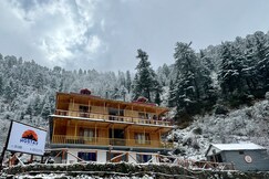 The Bark Wood Tirthan  ! Riverview