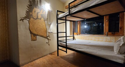 Hostelam The Mountain Story Manali Room Type - Mixed Dorm Room