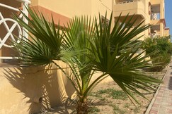 Citizen Society Ellora Park is very peaceful