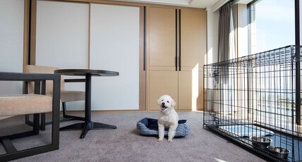 Hilton Odawara Resort & Spa Room Type - HILTON DOG FRIENDLY ROOM