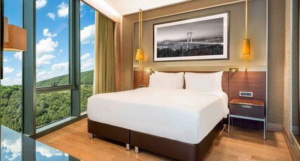 Radisson Collection Hotel, Vadistanbul Room Type - Superior Room