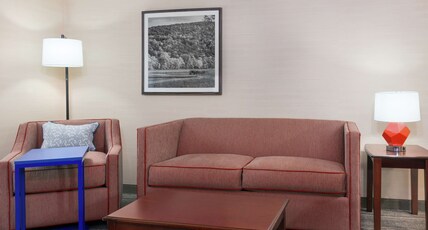 Hampton Inn by Hilton Springfield South Enfield Room Type - 1KNG STUDIO SOFABED NOSMOK