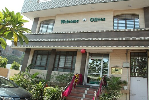 WELCOME OLIVES