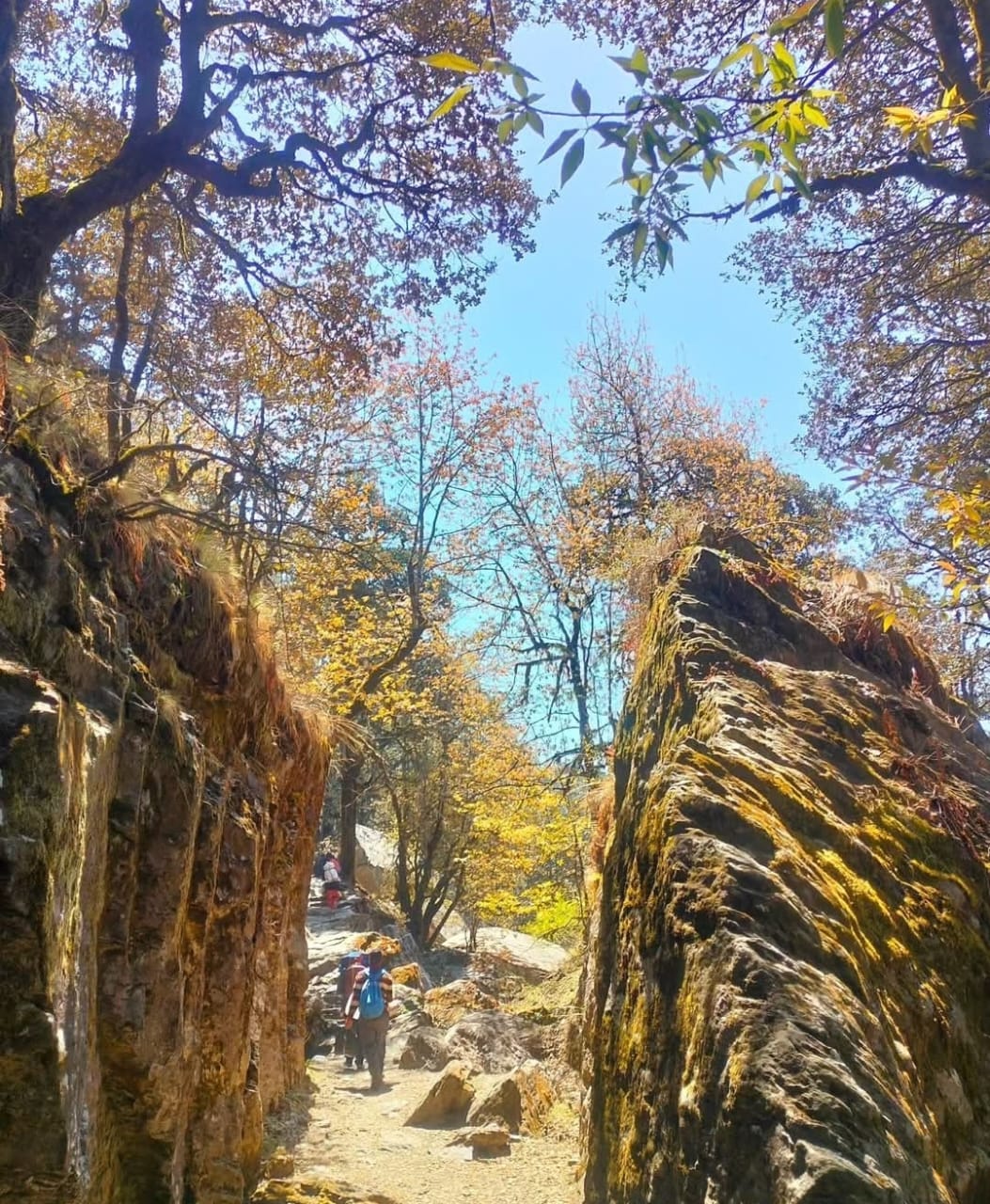 God valley homestay - Tap to explore photos