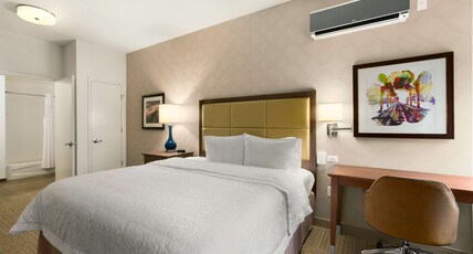 Hampton Inn by Hilton Chicago Downtown/N Loop/Michigan Ave Room Type - 1 KNG ACCESSIBLE TUB NS