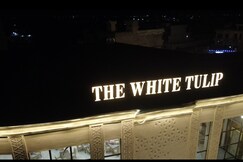 The White Tulip