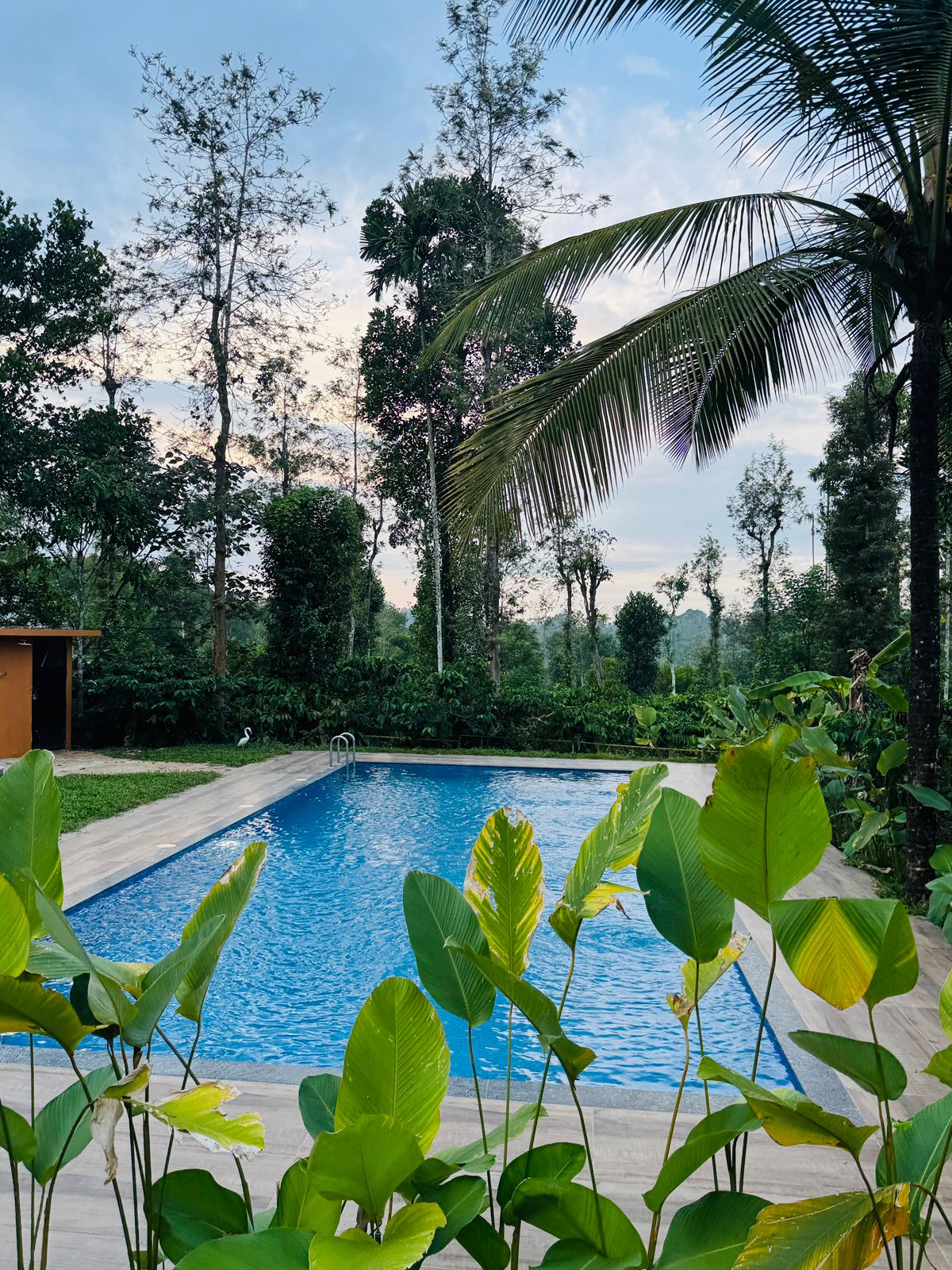 Rolling Mists Premium Pool Villa - Tap to explore photos